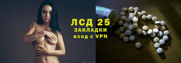 PSILOCYBIN Кулебаки