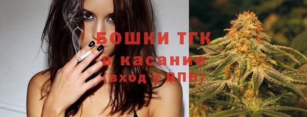 эйфоретик Кукмор