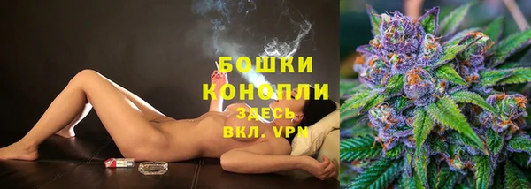 PSILOCYBIN Кулебаки