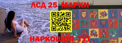 прущие грибы Краснодар