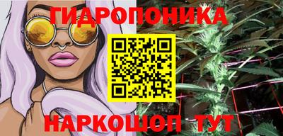 прущие грибы Краснодар