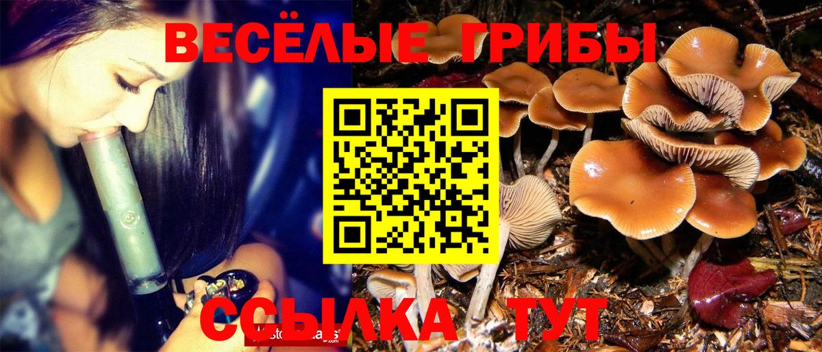 Чернушка  Галлюциногенные грибы мицелий  Галлюциногенные грибы Magic Shrooms  Вход с VPN 