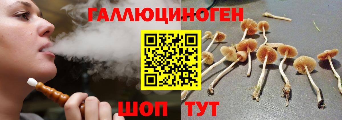 Галлюциногенные грибы Magic Shrooms  Чернушка 